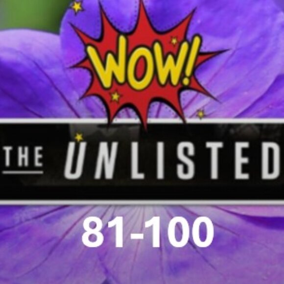 81-100 🎉UNLISTED!🎉Congrats, YOU WON!🎁🩷🥰SAT Oct 18 EST between 5-6pm - Picture 1 of 2